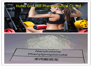 中国 NandroloneのPhenylpropionate 62-90-8の粉かさ張る周期のステロイドの適性 サプライヤー