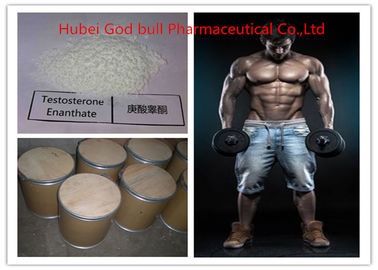 中国 315-37-7薬剤のテストステロンの同化ステロイドホルモン、テストステロンのエナンチオートの法的粉 サプライヤー